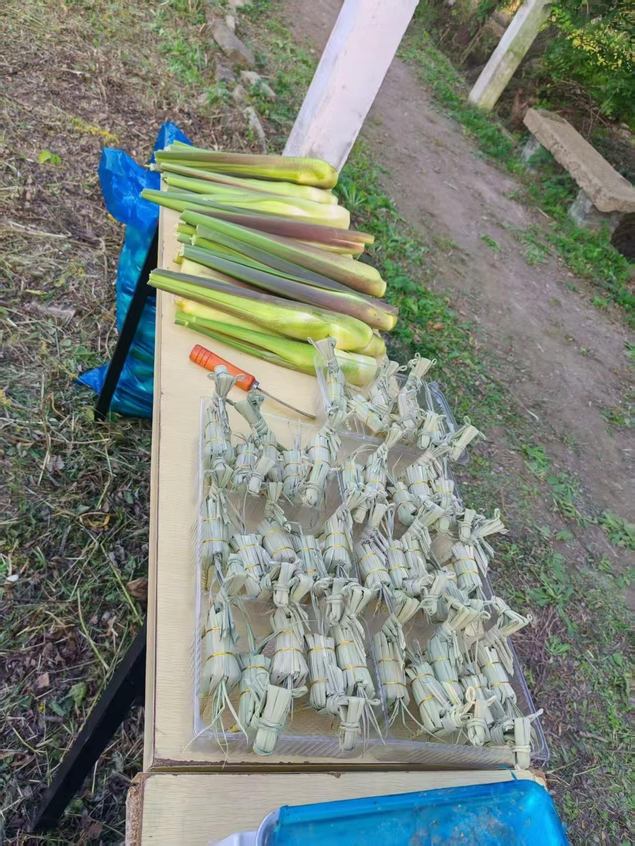 木桌上放着带根带泥的茭白植株，旁边是一大盒用叶鞘裹扎、草绳捆紧的小束