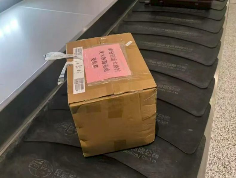 机场行李传送带上的种苗托运箱，箱体贴有「奉贤四团大桥村 交大种源基地 茭仙草」标签