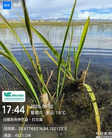 青海高原设施农业