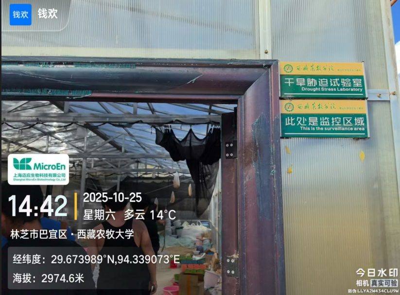 高原湿地试种记录，带水位与温度信息