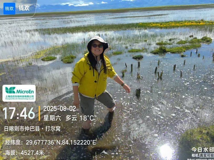 西藏仲巴湿地试种现场