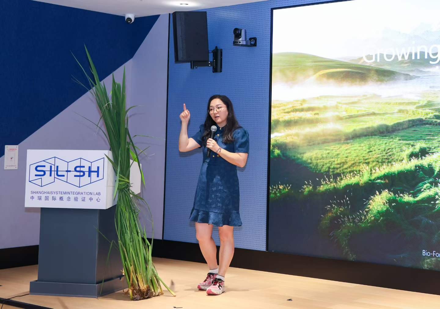 讲台左侧立着一丛带根带穗的高大茭草，背后是 SIL-SH 中瑞国际概念验证中心的标志与屏幕上的草原画面